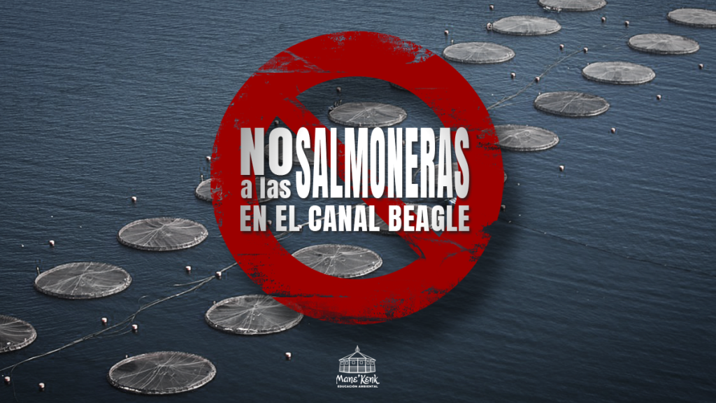 Las Salmoneras en Canal Beagle